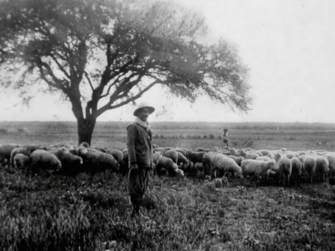 Peón de estancia cuidando rebaño de ovejas 