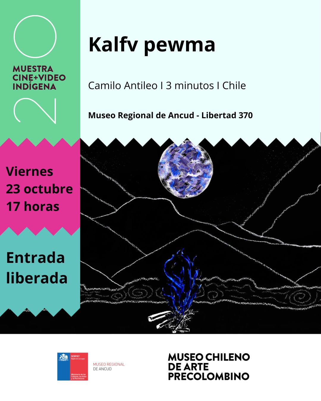  Afiche 20° Muestra Cine+Video Indígena
