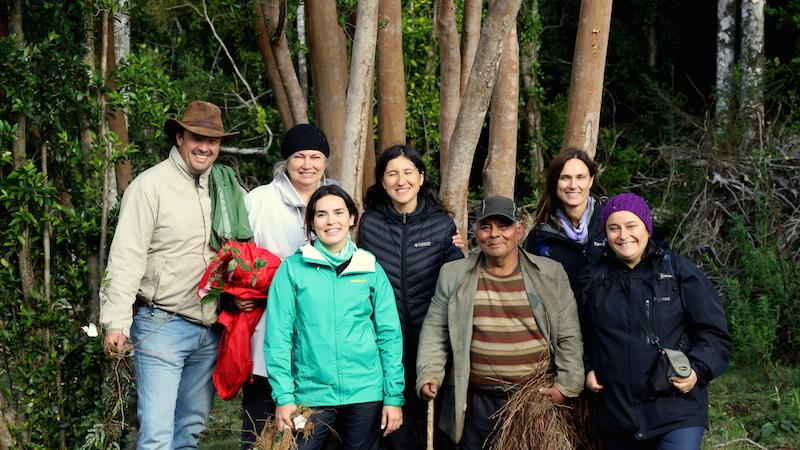 Equipo en terreno en la localidad de Llanco Recolección de quilineja en Llanco (Ancud). En la imagen, profesionales del Instituto Forestal (INFOR) y el Museo Regional de Ancud, junto a Clodomiro Marilican Lindsay. (Autor: David Núñez. 12/03/2018)