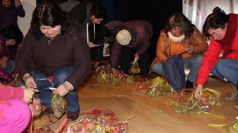 Entrega semillas de papas nativas Socias de la Unión Comunal de Mujeres Rurales de Ancud recibiendo las semillas de papas nativas.