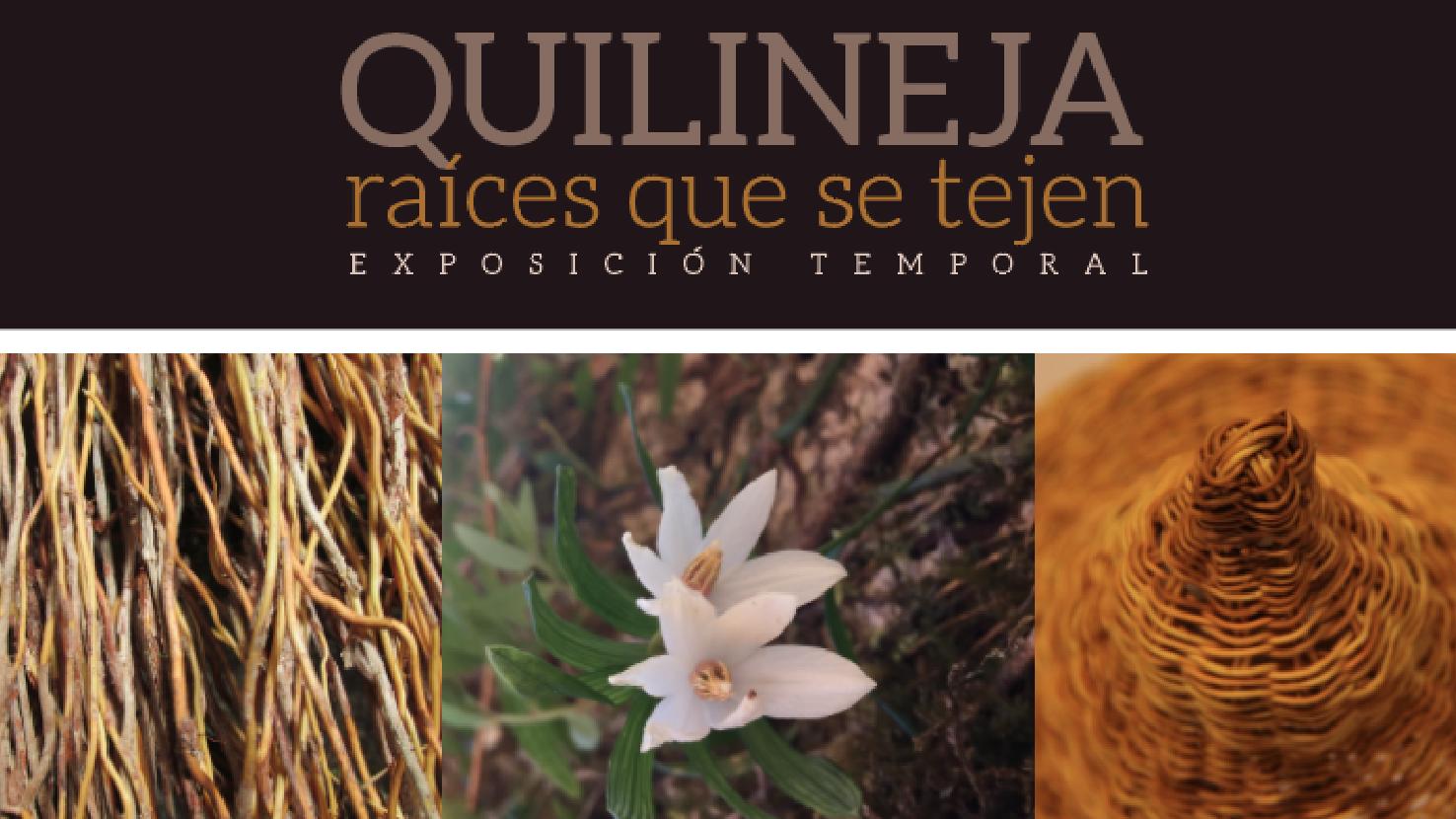 Afiche exposición temporal Quilineja: raíces que se tejen