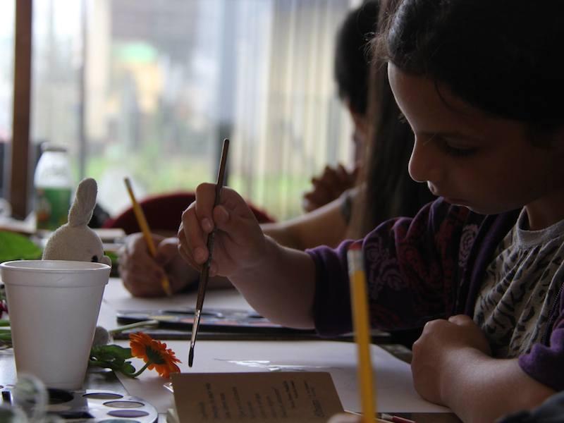 Taller de ilustración botánica