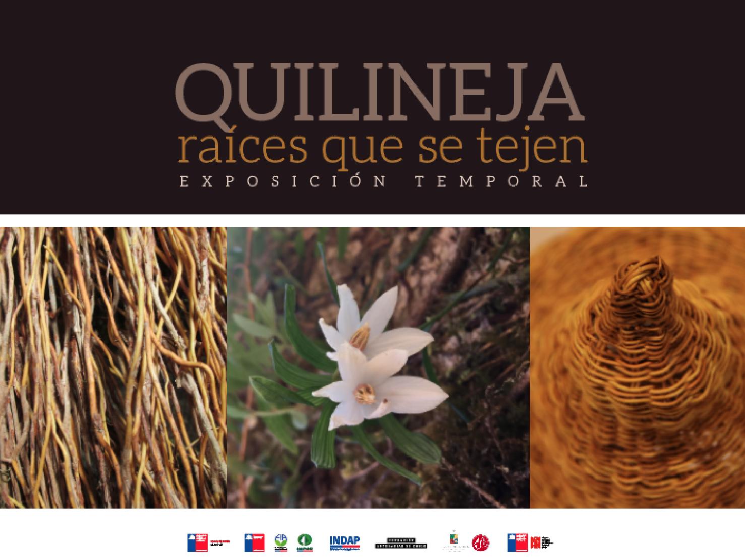 Quilineja: raíces que se tejen