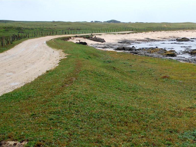 Isla Mocha, región del Bio-Bío.