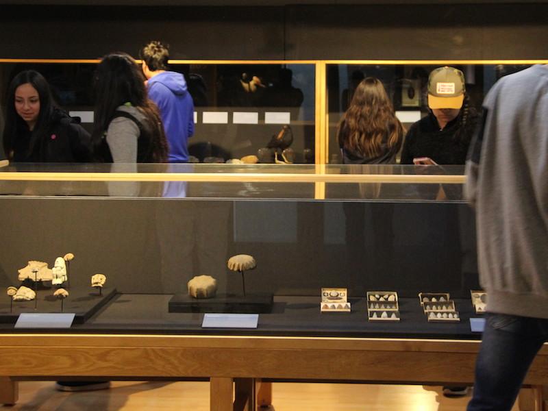 En la muestra pueden apreciarse objetos arqueológicos, minerales, fósiles y animales en taxidermia.