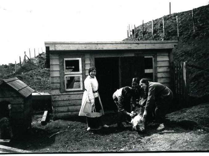 Estudiantes de la Escuela Normal Rural de Ancud en práctica, cuidado y limpieza de cerdos. Década de 1930.
Colección: Enrique Caro Bahamonde
