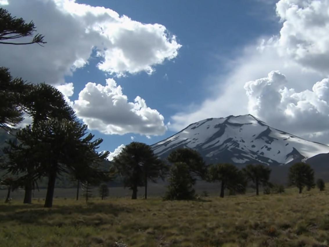 El territorio Pewenche se encuentra en la cordillera de los Andes.