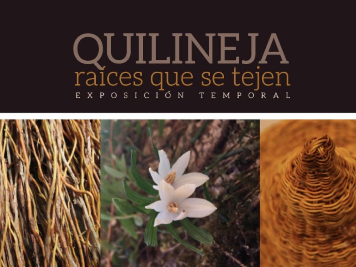 Versión digital exposición temporal Quilineja: raíces que se tejen