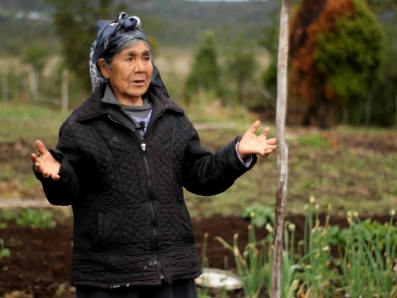 María Teolinda Huenteo Raín, maestra de paz y portadora de la memoria de su comunidad.