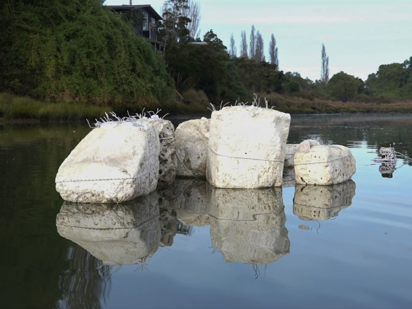 Exposición Bloque Errático 