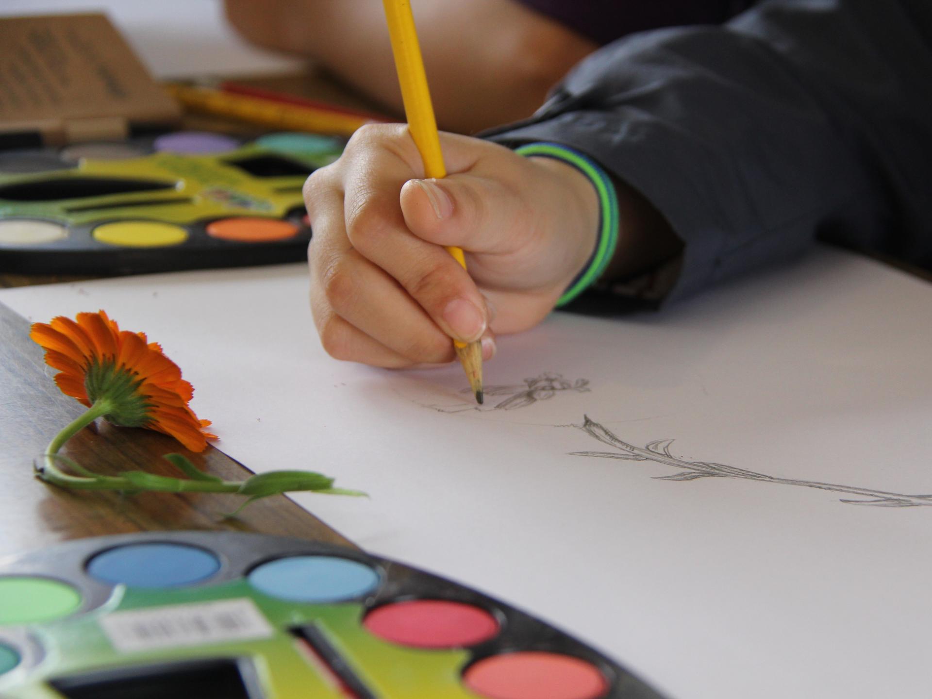 El Taller de Cómic en el museo es desde los 13 años