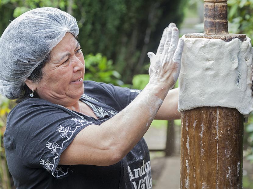 Disposición de la masa de chochoca sobre el palo chochoquero