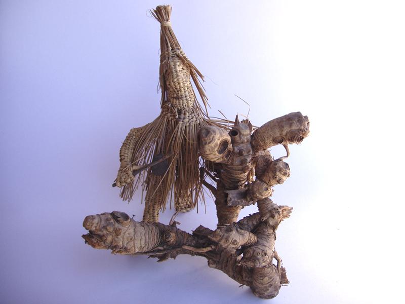 Trauco
