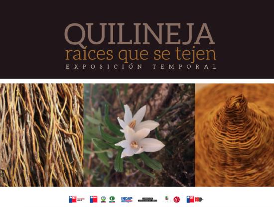 Quilineja: raíces que se tejen