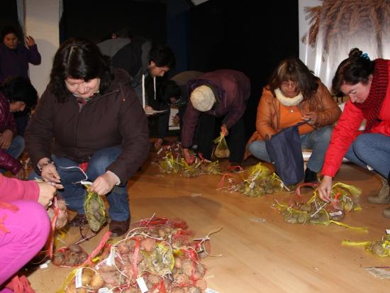 Socias de la Unión Comunal de Mujeres Rurales de Ancud recibiendo las semillas de papas nativas.