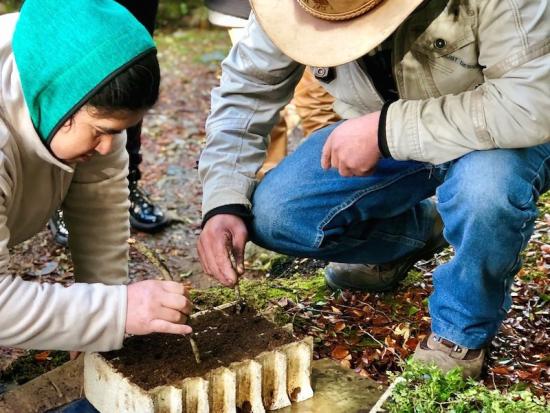 Siembra de quilineja en almacigueras. En la imagen, Rosa Peranchiguay y Horacio Barría (Autor: Elizabeth Mockridge. 10/07/2019)