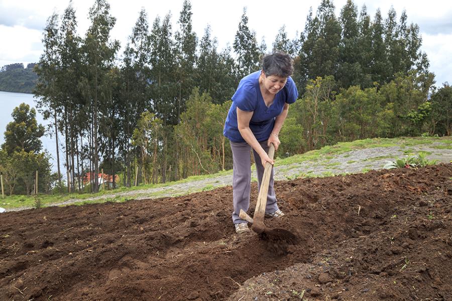Elaboración de melgas