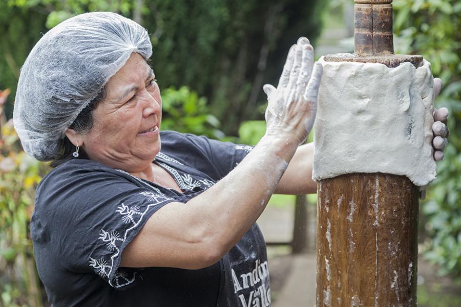 Disposición de la masa de chochoca sobre el palo chochoquero
