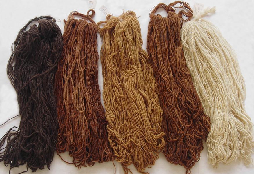 Mirna Silva. Madejas de lana hilada y teñida