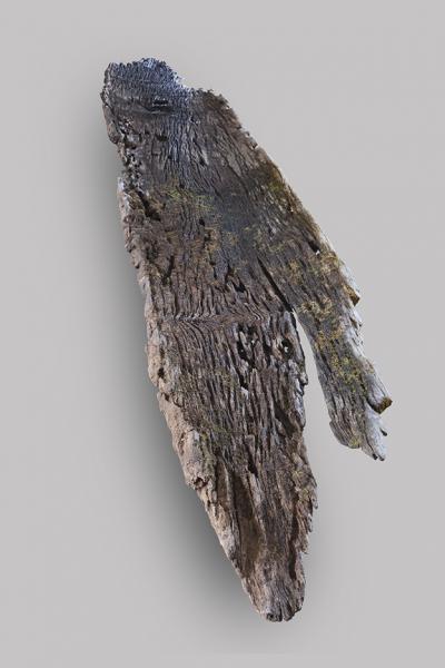 Canoa monóxila (vista 2)