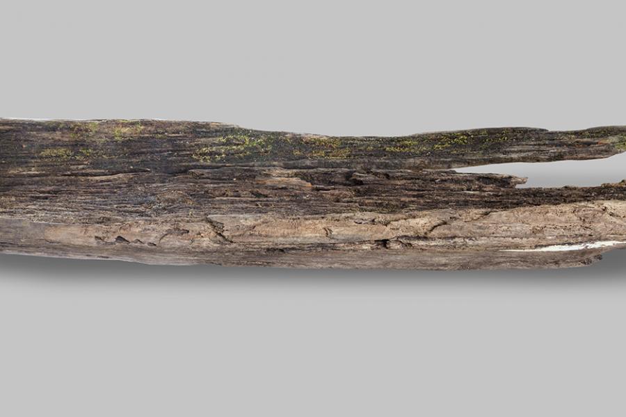 Canoa monóxila (vista 3)