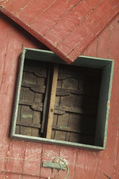 Acceso a la bodega de la “Ancuditana” (detalle 4)