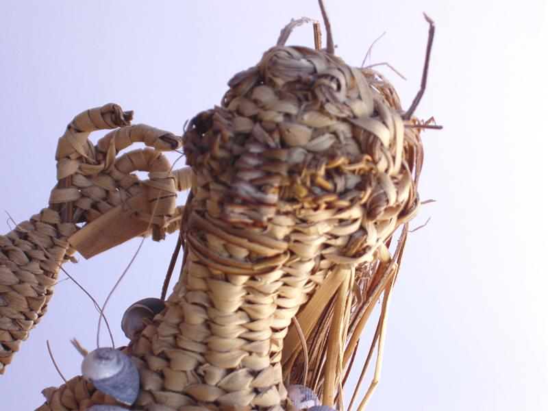 La Pincoya (en detalle)