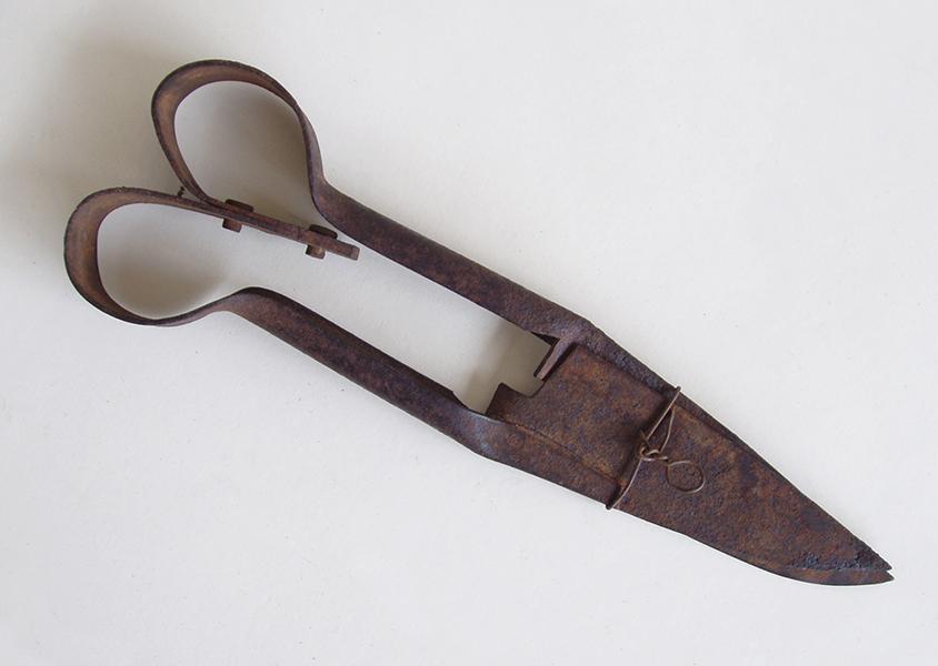 Tijerón de metal para esquilar