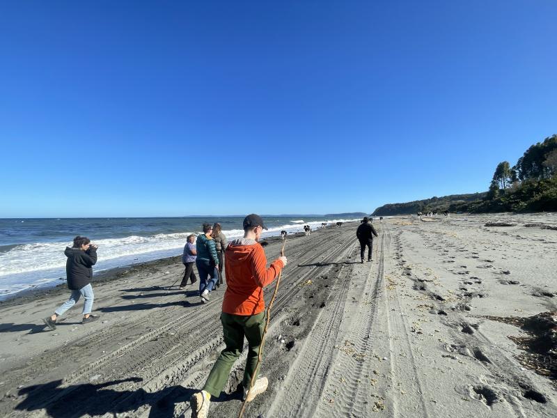 Recorrido por la playa Peldehue sur