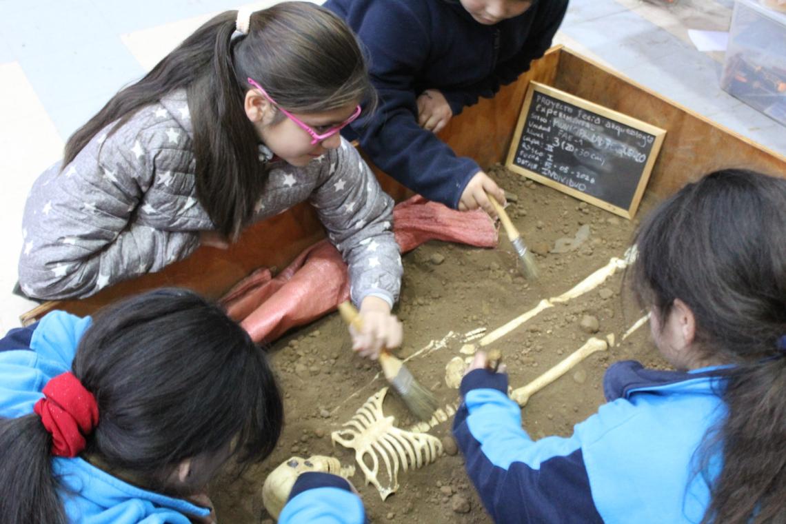 Fería de Arqueología UCT