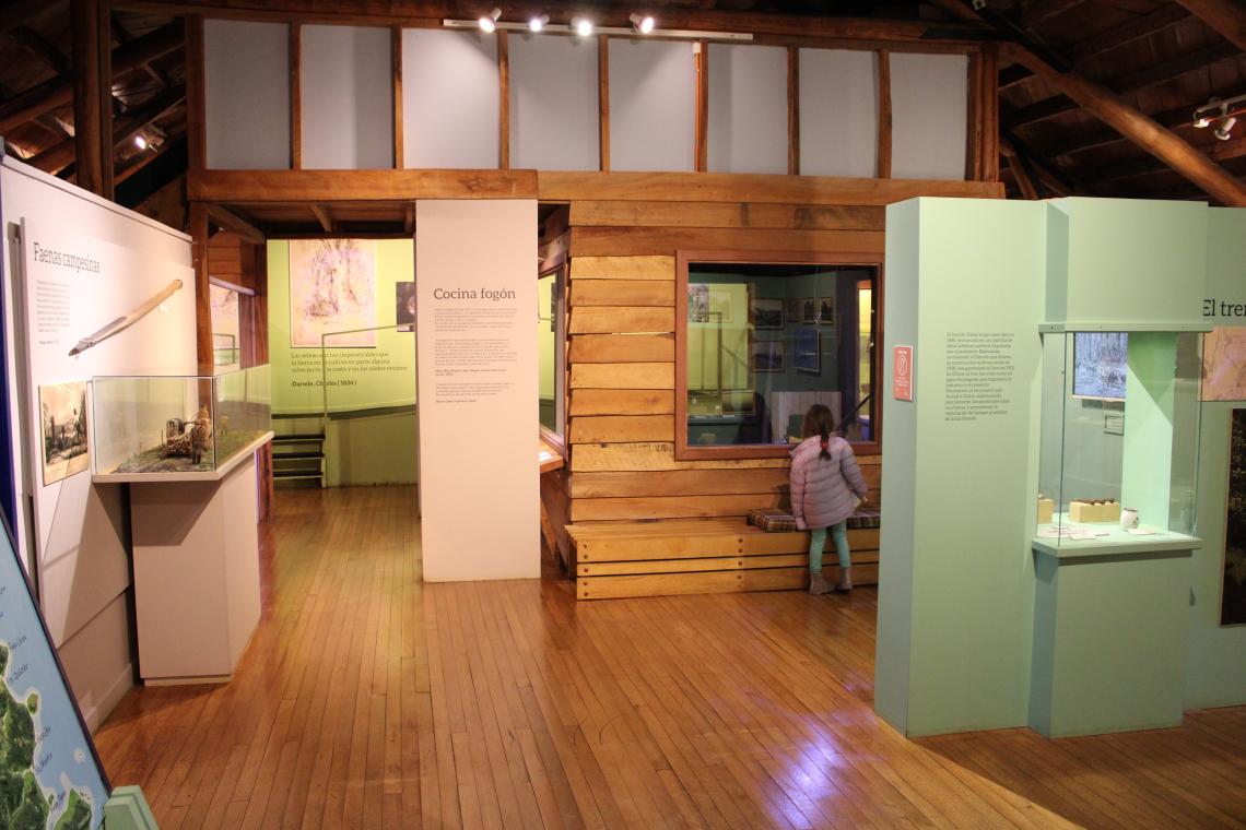 Muestra Permanente del museo, año 2026
