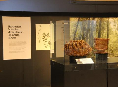 Exposición temporal Quilineja, raíces que se tejen.