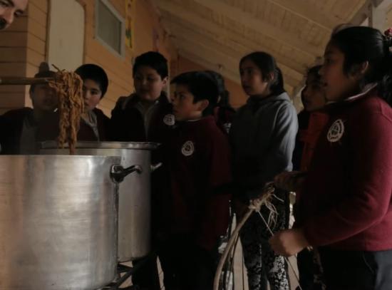 Niños y niñas de la escuela reconociendo los colores con los cuales se tiñe la lana usando fibras naturales de la isla